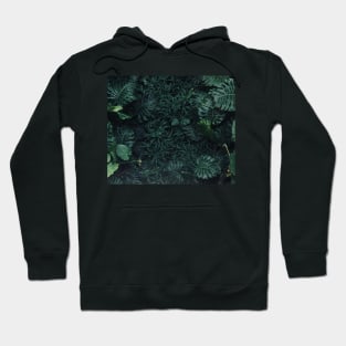 Luscious ferns Hoodie